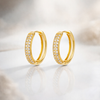Crystal Studded Hoop Earrings